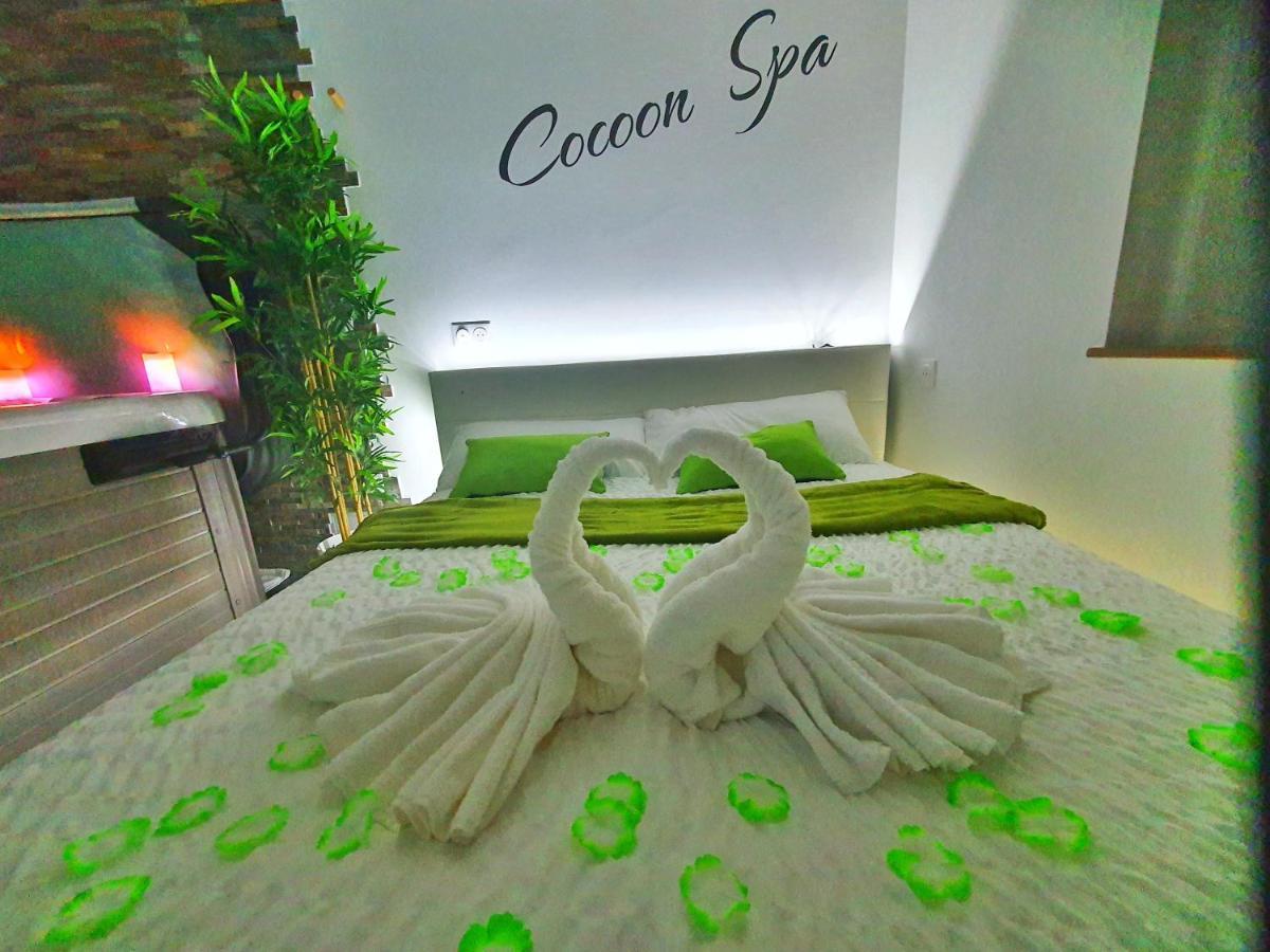 -Gite Cocoon Spa-Jacuzzi-Jardin-Parking Prive-Climatisation Holtzwihr Ngoại thất bức ảnh