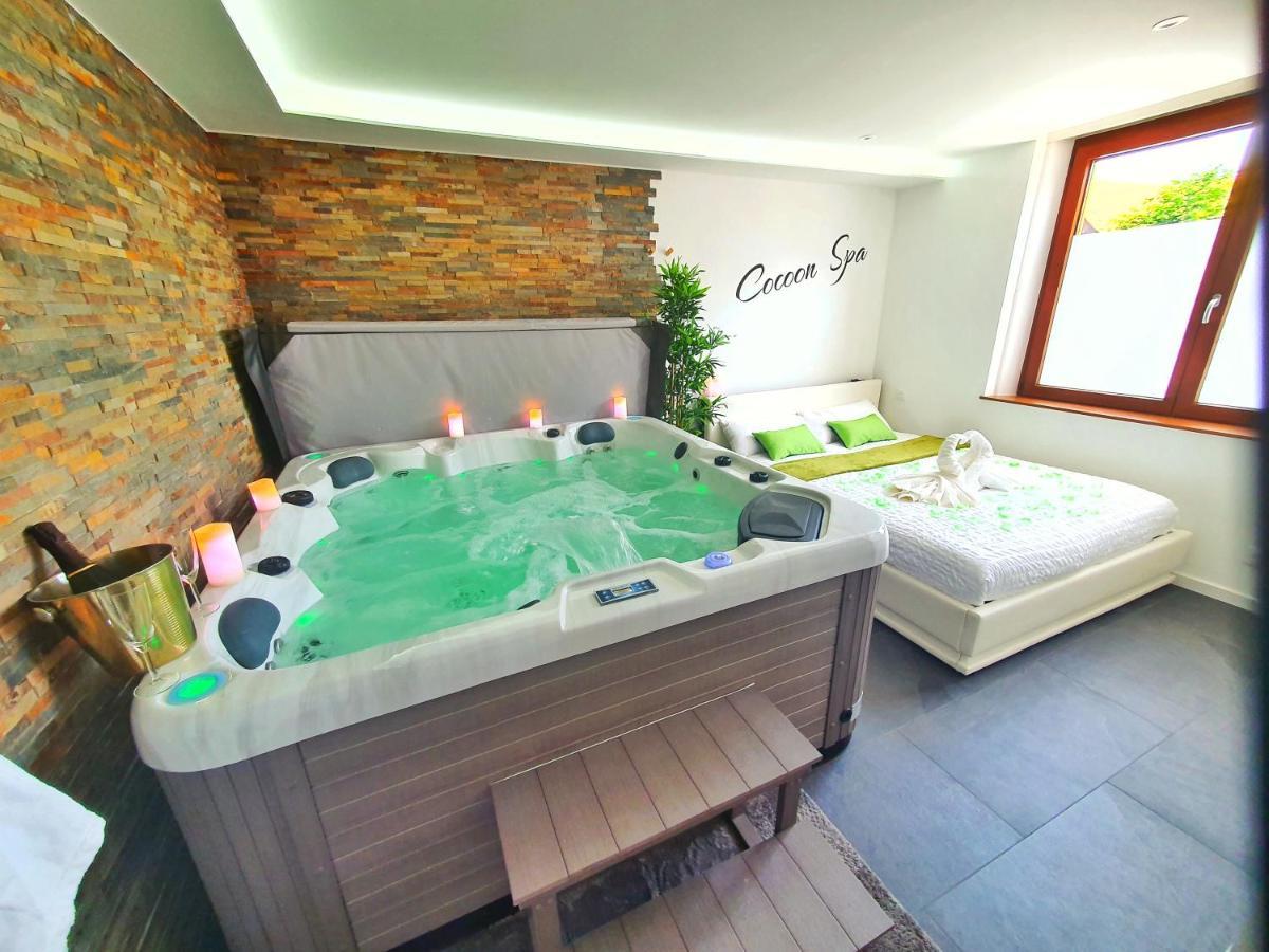 -Gite Cocoon Spa-Jacuzzi-Jardin-Parking Prive-Climatisation Holtzwihr Ngoại thất bức ảnh